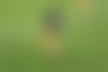 Edzői értékelés III. KER. TVE - TARR ANDRÁSHIDA SC 0 - 0 (0-0)