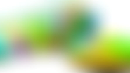 A számok bűvöletében