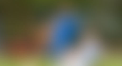 A forduló gólját lőtte a Vidinek Opavszky Balázs