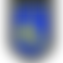 Edzői értékelés III. KERÜLETI TVE - PÁPAI PERUTZ FC 3 – 2