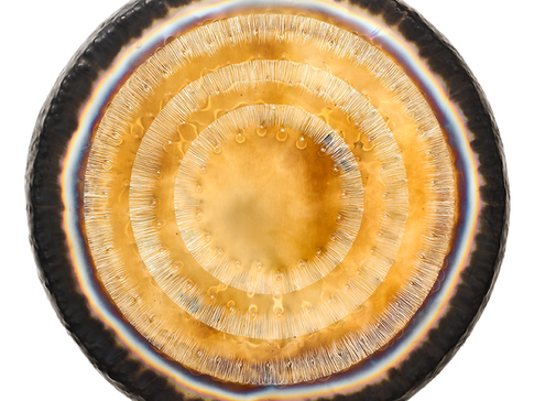 Oceana