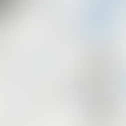 couleur pantone 2026