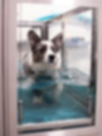 Medische hydrotherapie