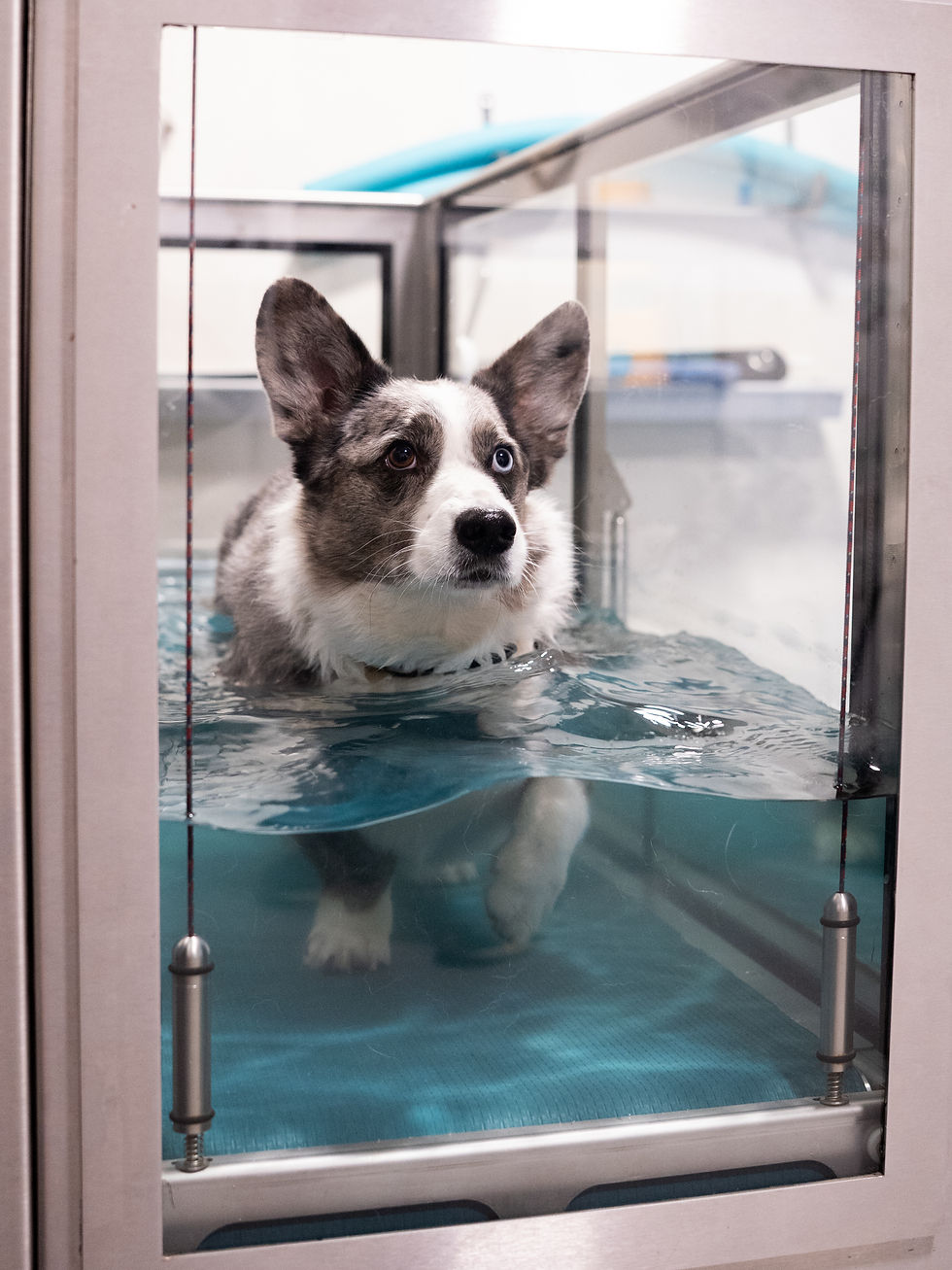 Medische hydrotherapie