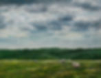 "Green Pastures"