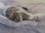 "Purrfect Life"