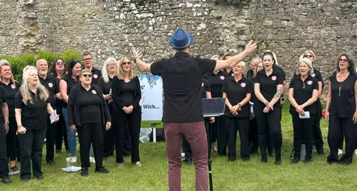 New Forest gig.jpg