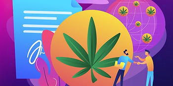 Report Global Cannabis Market to Surpass