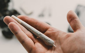 cannabis-use-associated-less-alcohol-con