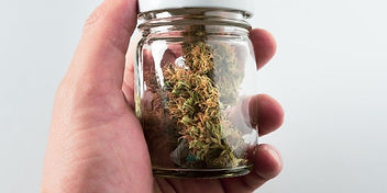 Science Continues to Confirm Cannabis Ca
