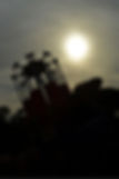 IMG_3527.jpeg