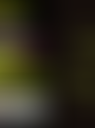 Últimos dias para se inscrever no 23º Festival da Canção de Andradas/MG