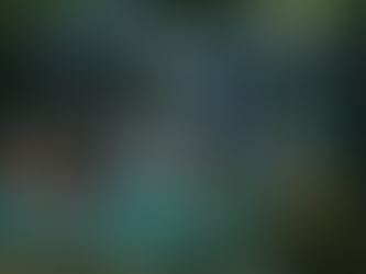 Stages dessin peinture