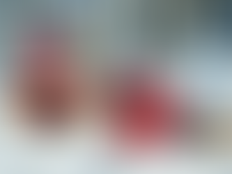 Stages vacances de février 