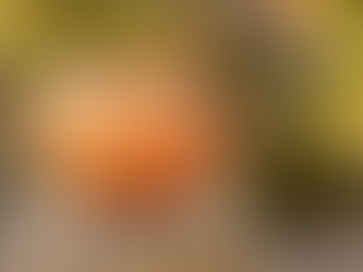 Stage Toussaint enfants