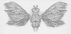 Brain bug 1 top view pencil.png