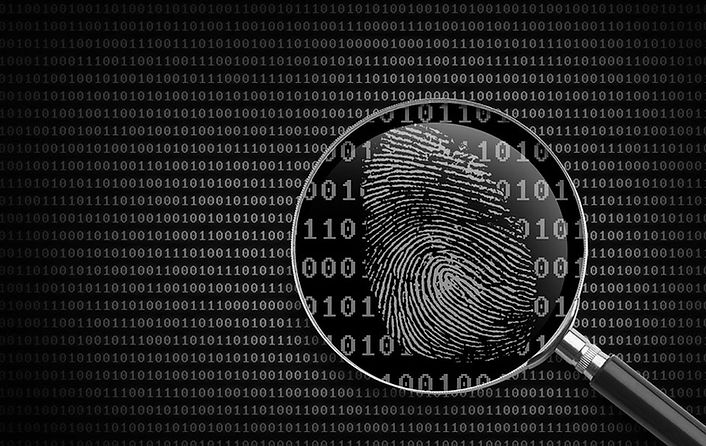 private-investigator-background-check.jpg