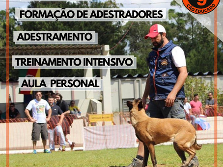 Saiba mais sobre o que podemos oferecer a você e para o seu pet, de acordo com a necessidade!