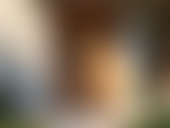 Maximize Your Home's Security and Style with AAT Doors Roller and Garage Doors