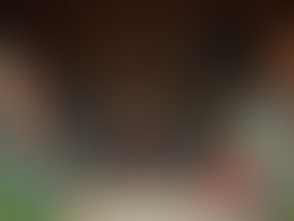 The Ultimate Guide to Decluttering Your Shed This Season