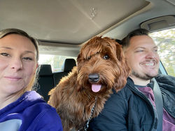 Car Selfie with a Man and a Woman and a dog