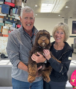Couple holding their beautiful dog.