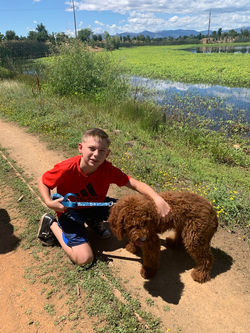 Boy is holding his dog on a leash