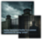 a prison gate and prisoner in his cell