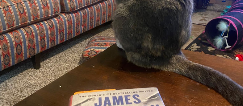 Skol! QAnon, Bills Mafia, Multiverse, Mysterious Ways, Conspiracy Theories…