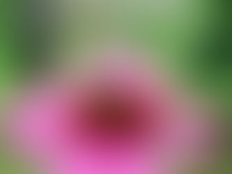 EMDR – Der Schlüssel zur inneren Freiheit