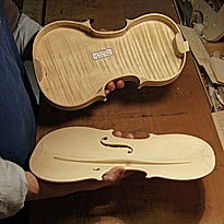 cassa armonica violino