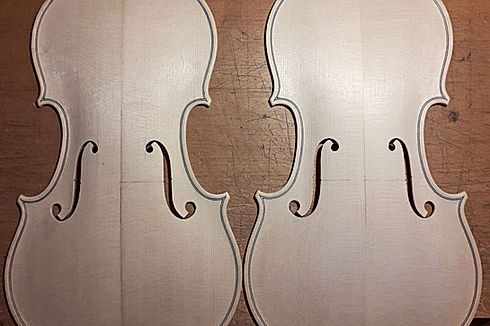 violin8.jpg