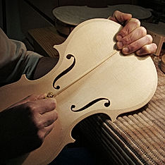 catena violino