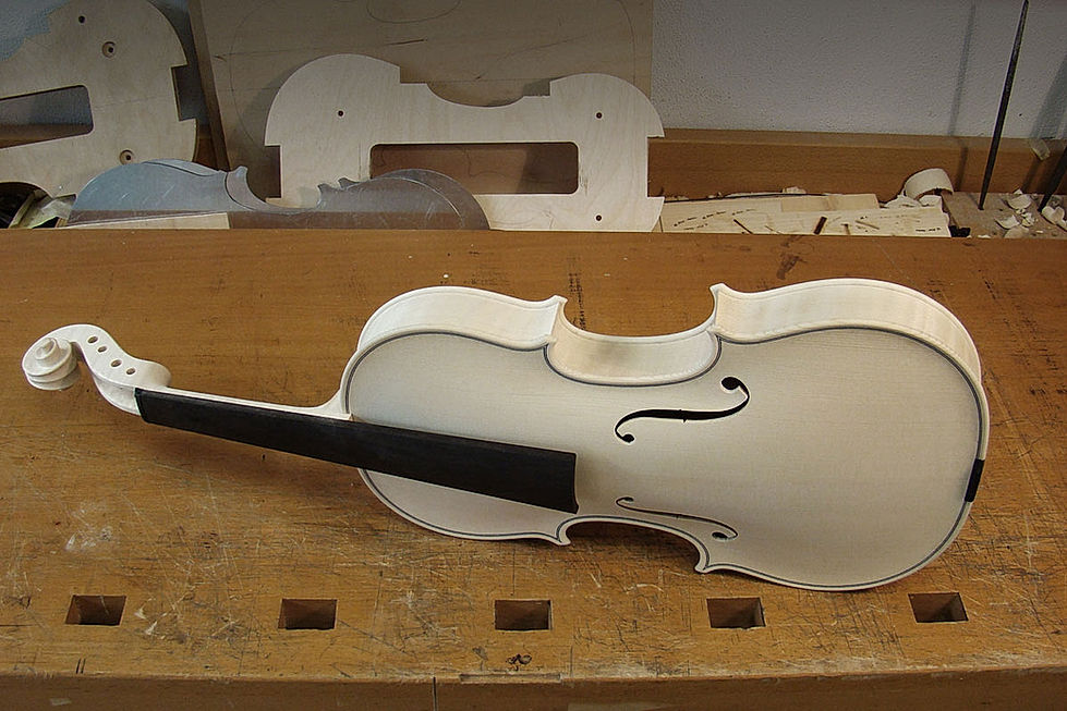 violino bianco