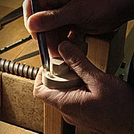 riccio violino