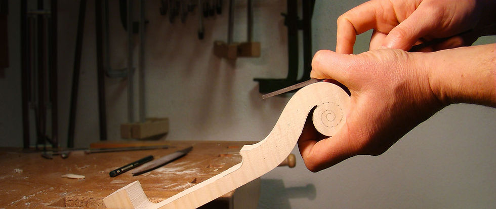 costruzione-riccio-violino.jpg