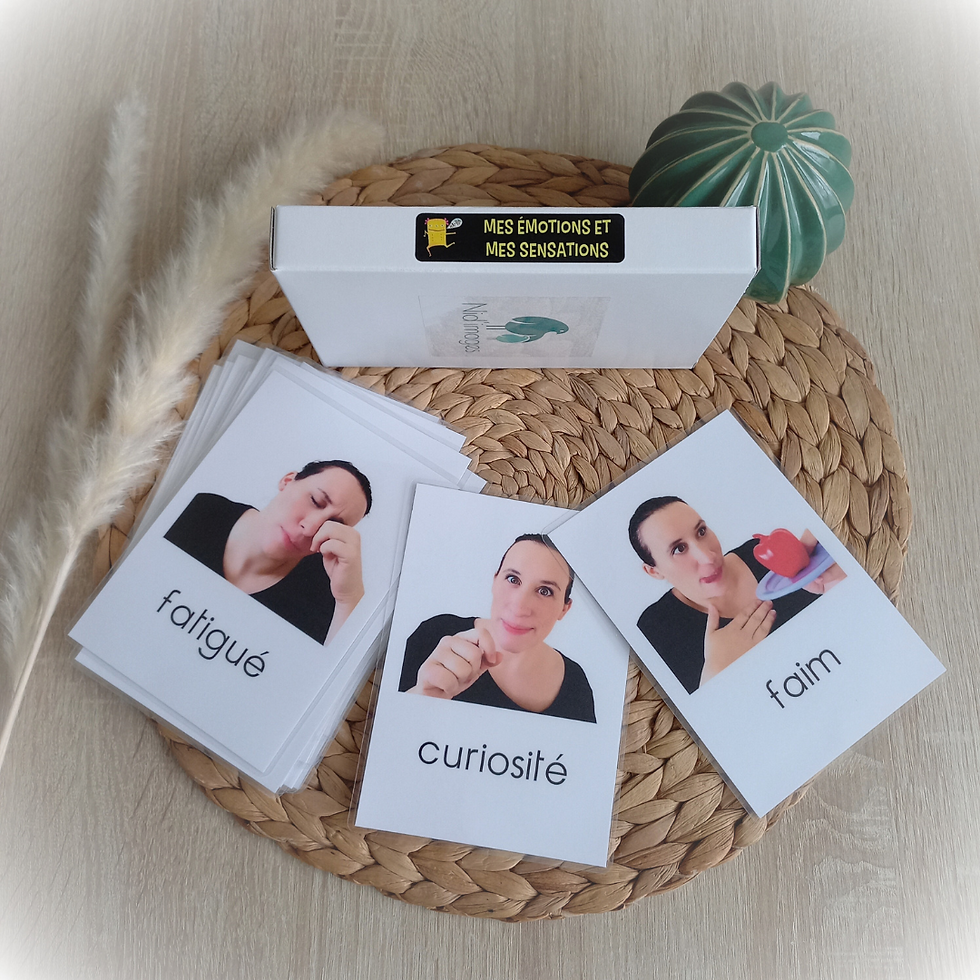 Cartes "Mes émotions et mes sensations"