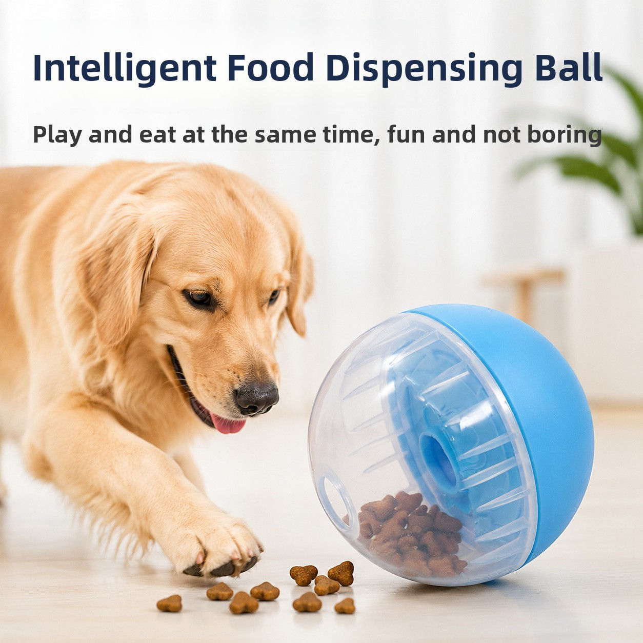 Pet Rolling Toy
