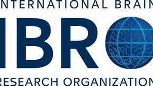 International Brain
