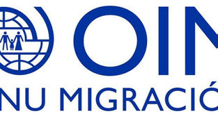 ONU Migración