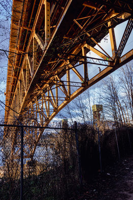 _LAV0335-2.jpg