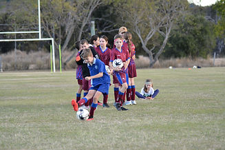 DSC_0959 - Copy.JPG