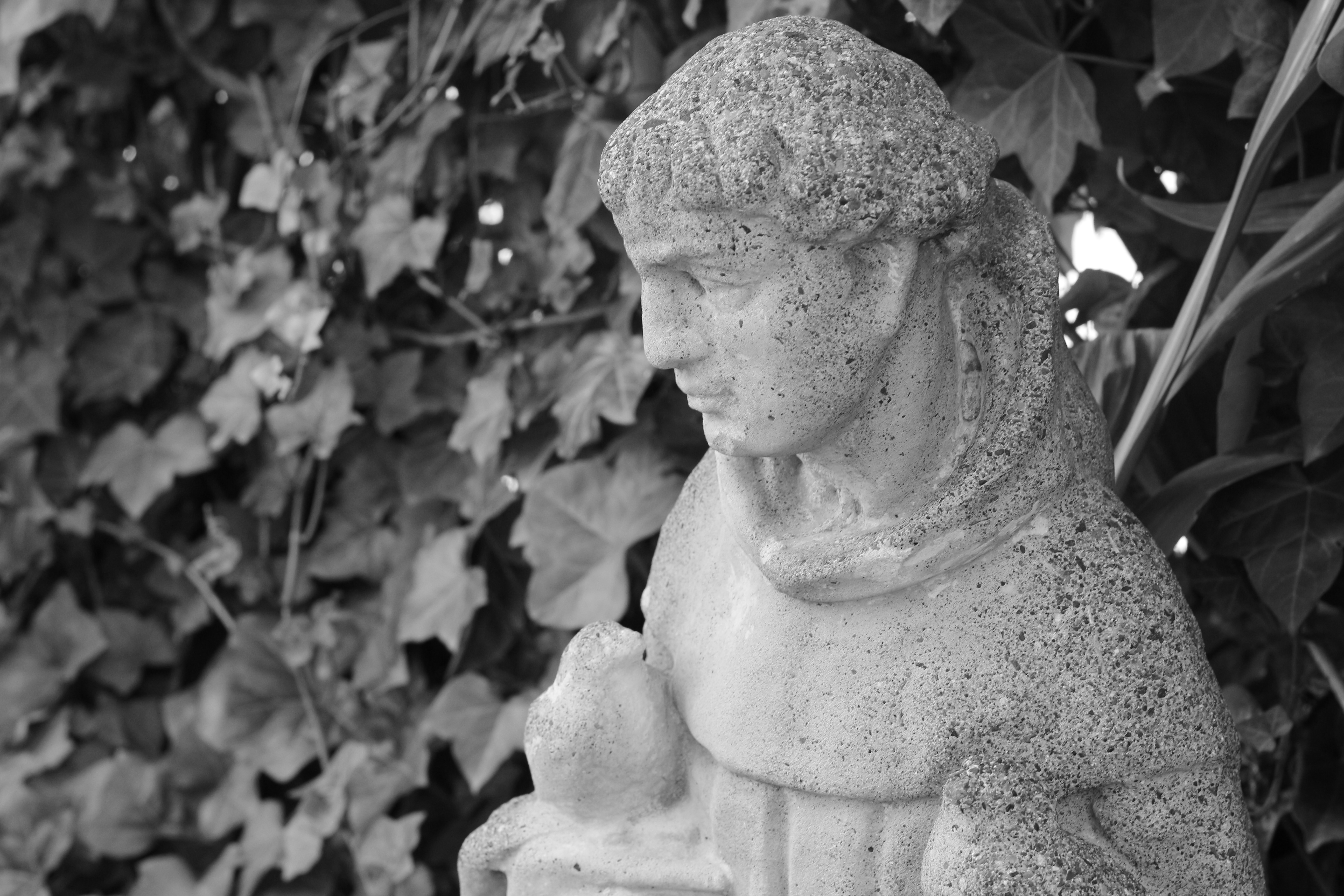 St. Francis statue