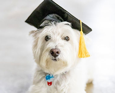 Bailey grad hat 1 (1).jpg