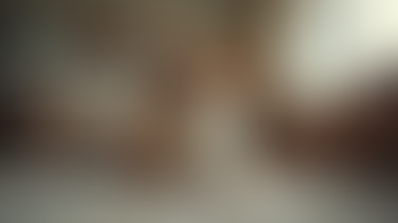 Teach Your Dog Basic Commands: Mastering Basic Dog Obedience Together