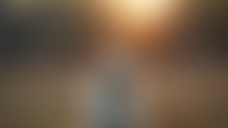 Designing a Helpful Training Guide for Dogs