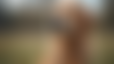 Comprehensive Training for All Breeds: Unlocking Your Dog’s Full Potential