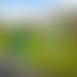 Why is the run important?