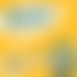 Come & grab the Spirit Special!