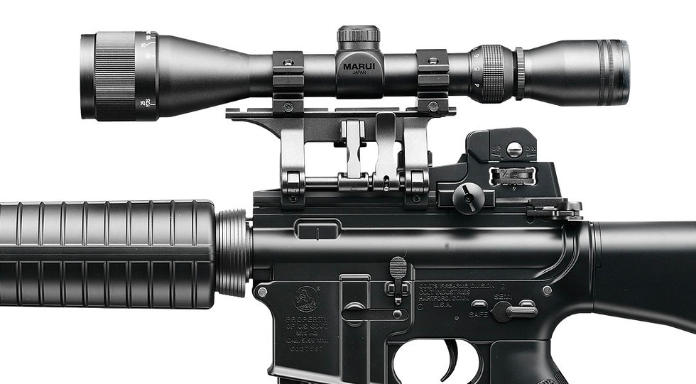 FCW M16A2 Gorugo 13 Custom AEG